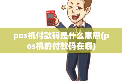 pos机付款码是什么意思(pos机的付款码在哪)