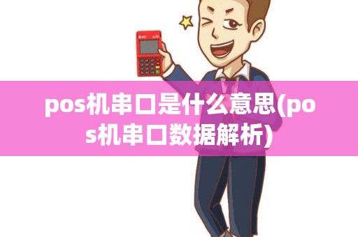 pos机串口是什么意思(pos机串口数据解析)