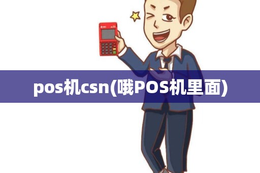 pos机csn(哦POS机里面)
