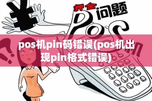 pos机pin码错误(pos机出现pin格式错误)