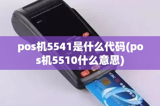 pos机5541是什么代码(pos机5510什么意思)