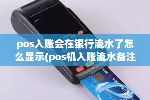 pos入账会在银行流水了怎么显示(pos机入账流水备注)