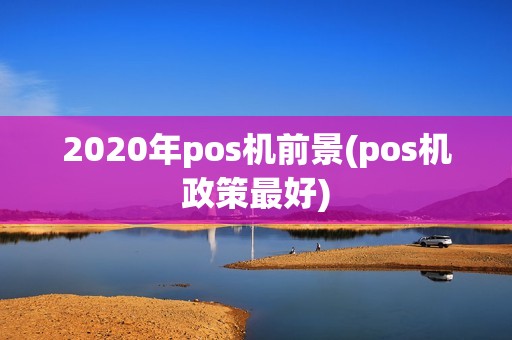 2020年pos机前景(pos机政策最好)