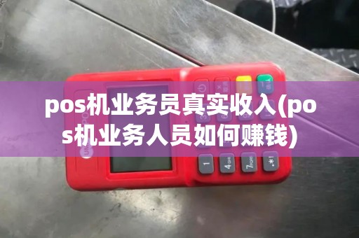 pos机业务员真实收入(pos机业务人员如何赚钱)