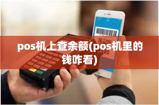 pos机上查余额(pos机里的钱咋看)