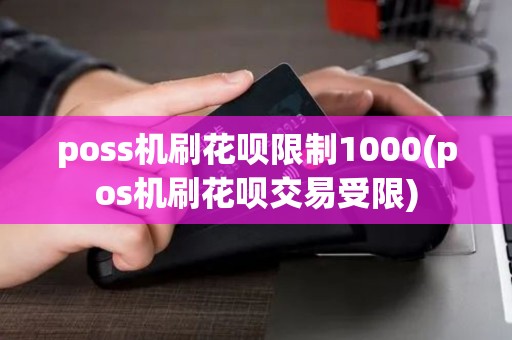 poss机刷花呗限制1000(pos机刷花呗交易受限)