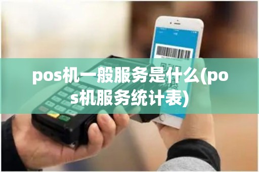 pos机一般服务是什么(pos机服务统计表)