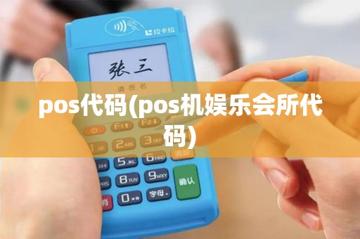 pos代码(pos机娱乐会所代码)