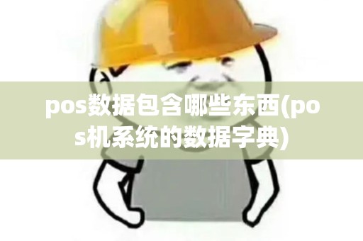 pos数据包含哪些东西(pos机系统的数据字典)