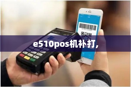 e510pos机补打,
