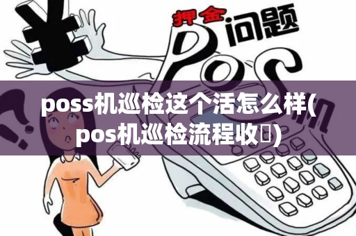 poss机巡检这个活怎么样(pos机巡检流程收單)
