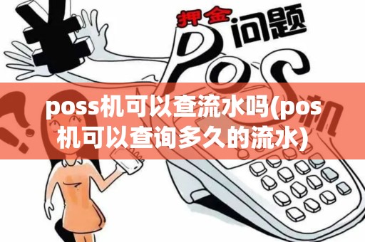 poss机可以查流水吗(pos机可以查询多久的流水)