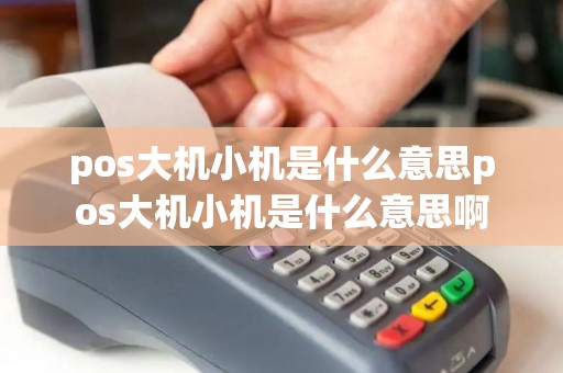 pos大机小机是什么意思pos大机小机是什么意思啊
