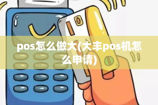 pos怎么做大(大丰pos机怎么申请)