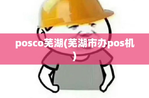 posco芜湖(芜湖市办pos机)