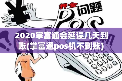 2020掌富通会延误几天到账(掌富通pos机不到账)