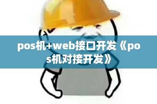 pos机+web接口开发《pos机对接开发》
