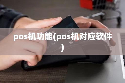 pos机功能(pos机对应软件)