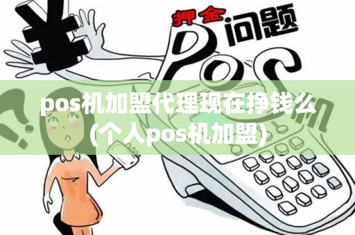 pos机加盟代理现在挣钱么(个人pos机加盟)