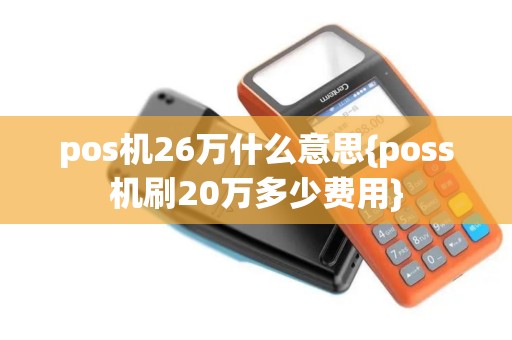 pos机26万什么意思{poss机刷20万多少费用}