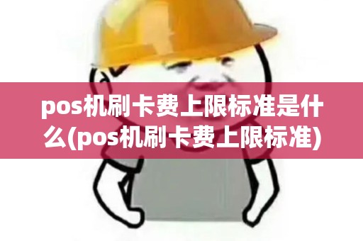 pos机刷卡费上限标准是什么(pos机刷卡费上限标准)