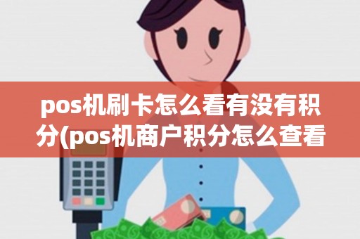 pos机刷卡怎么看有没有积分(pos机商户积分怎么查看)