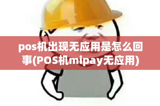 pos机出现无应用是怎么回事(POS机mipay无应用)