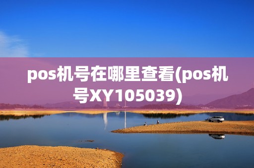 pos机号在哪里查看(pos机号XY105039)