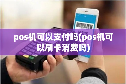 pos机可以支付吗(pos机可以刷卡消费吗)
