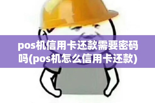pos机信用卡还款需要密码吗(pos机怎么信用卡还款)