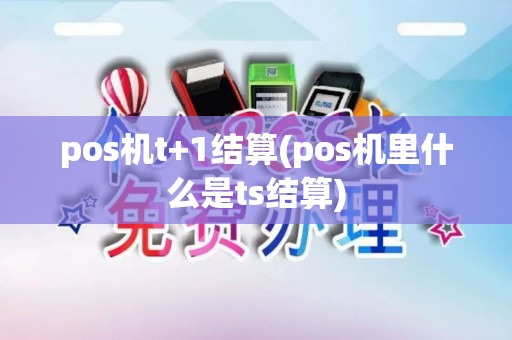 pos机t+1结算(pos机里什么是ts结算)