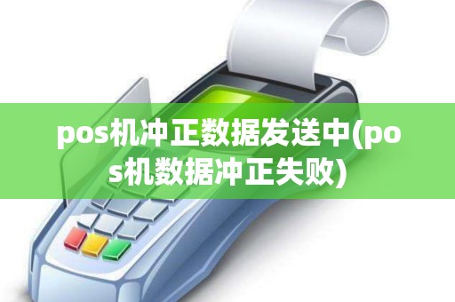 pos机冲正数据发送中(pos机数据冲正失败)