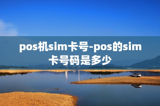pos机sim卡号-pos的sim卡号码是多少