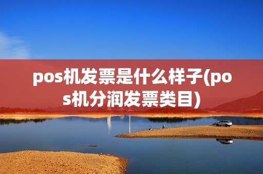 pos机发票是什么样子(pos机分润发票类目)