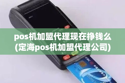 pos机加盟代理现在挣钱么(定海pos机加盟代理公司)