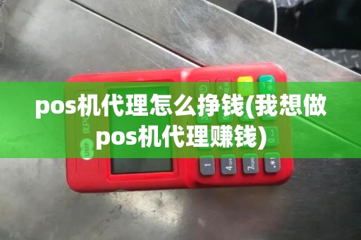 pos机代理怎么挣钱(我想做pos机代理赚钱)