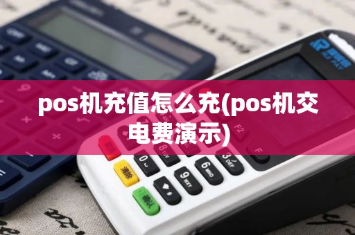 pos机充值怎么充(pos机交电费演示)