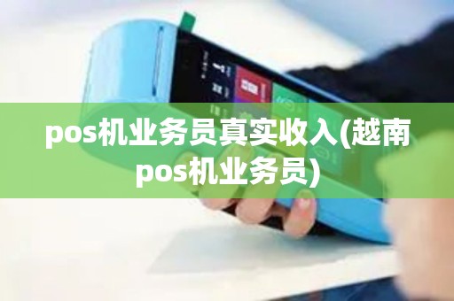 pos机业务员真实收入(越南pos机业务员)