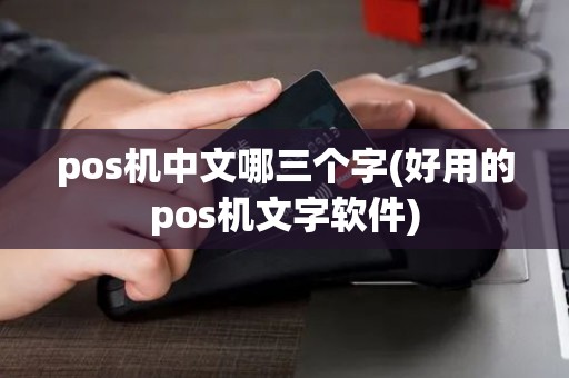 pos机中文哪三个字(好用的pos机文字软件)