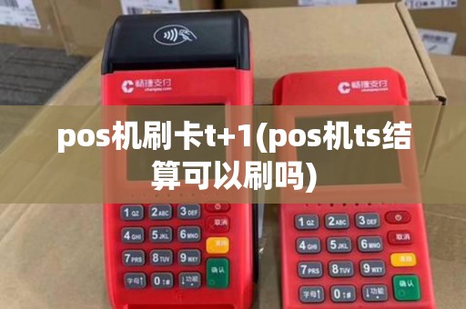 pos机刷卡t+1(pos机ts结算可以刷吗)