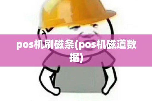 pos机刷磁条(pos机磁道数据)