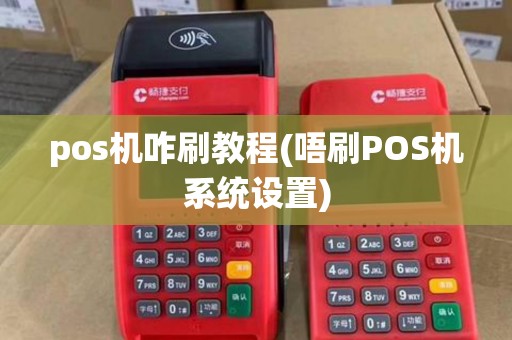 pos机咋刷教程(唔刷POS机系统设置)