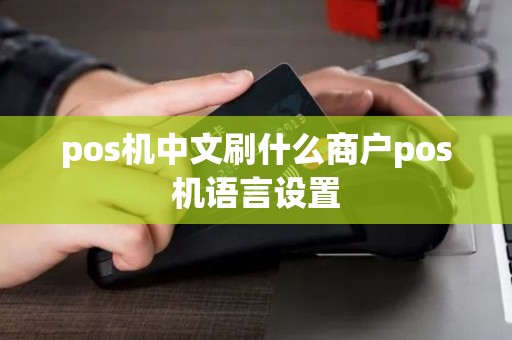 pos机中文刷什么商户pos机语言设置