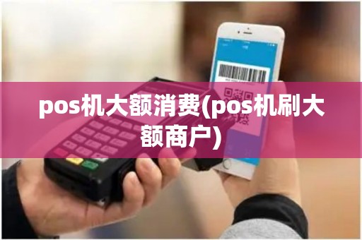 pos机大额消费(pos机刷大额商户) pos机大额消费(pos机刷大额商户)