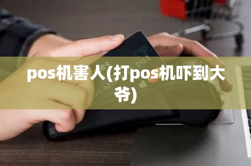 pos机害人(打pos机吓到大爷) pos机害人(打pos机吓到大爷)