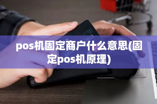 pos机固定商户什么意思(固定pos机原理)