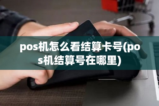pos机怎么看结算卡号(pos机结算号在哪里)