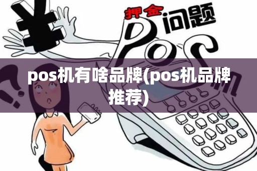 pos机有啥品牌(pos机品牌推荐)