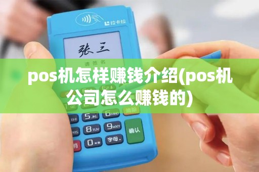 pos机怎样赚钱介绍(pos机公司怎么赚钱的) pos机怎样赚钱介绍(pos机公司怎么赚钱的)