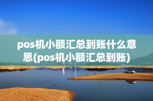 pos机小额汇总到账什么意思(pos机小额汇总到账)